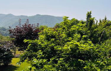 Il Giardino di Monterole Cà d'Pini - Foto 27