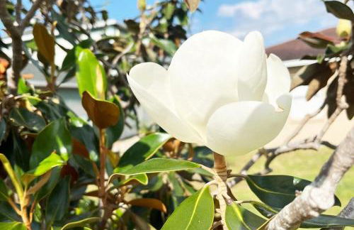 BlockHaven near Legoland, Disney - Foto 52