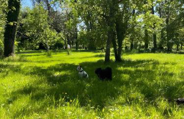 Relaxing family retreat - Photo 21
