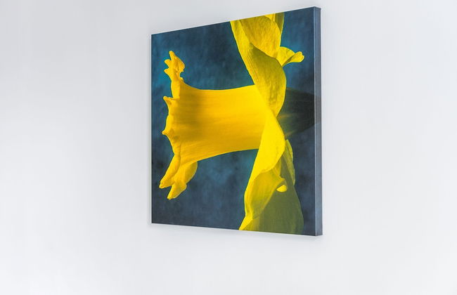 High Living Cosy Flat Next to Zone 1 - Foto 5