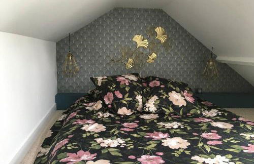 La petite Brainoise - Gîte avec salle jacuzzi 120 jets - Foto 9