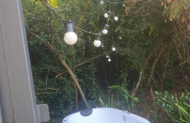 Container Beija-Flor com SPA e Cachoeira - Foto 6