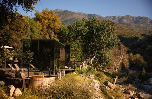 Paradise Ranch Inn- Limitless House Hot Tub,Sauna - Photo 10