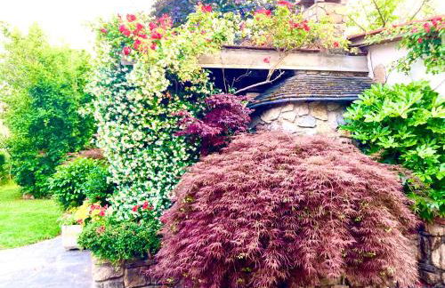 Tuscany To Love - Holiday Home - Casa Vacanze - Foto 7