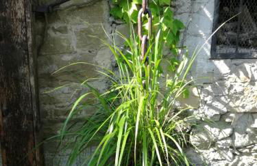 Prà de Mandè - Photo 4