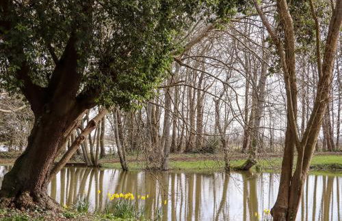 Lilyrose Cottage - Foto 30