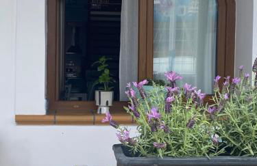 Beachfront House Pythagorion - Foto 9