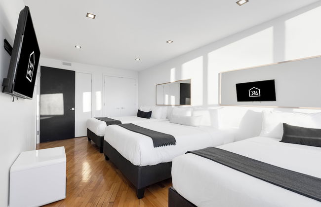 Liv MTL - Plaza - Foto 6