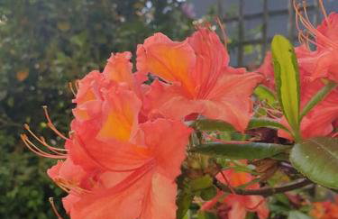 North Coast country home(Portrush,Portstewart,Giant's Causeway) - Foto 12