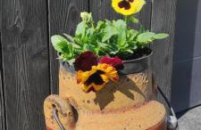 Kotlina Kłodzka Pod Brzozami - Foto 60