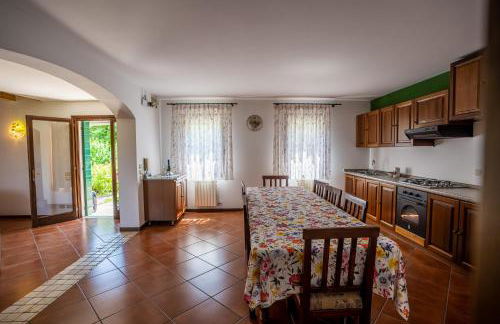 GATTO IN VIGNA - Foto 34