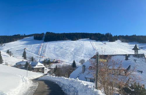 Berghof Almzeit - Fewo "Heuboden", Sauna , Todtnauberg, Feldberg - Foto 28