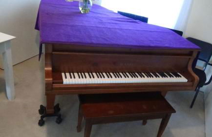 Forest Lake House - Foto 45