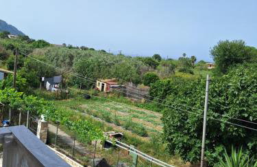 Palmer House - Foto 6