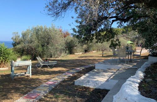 Olive Hill Private House - Foto 56