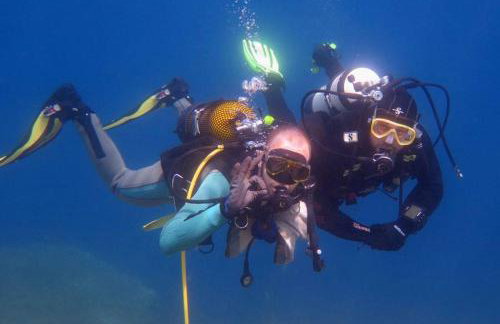 Hobbit house Beli - Foto 38