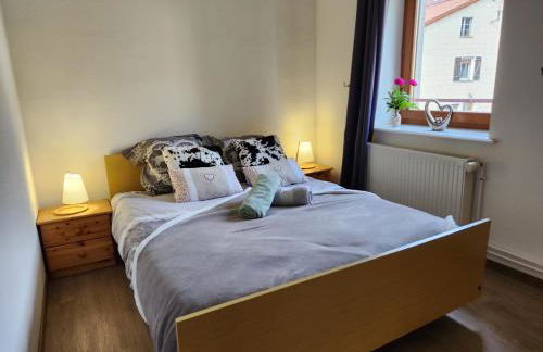 Gite Bruyère, 2 à 5 personnes avec salle de jeux et SPA dans la résidence - Foto 4