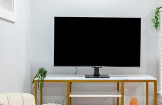 Montlake Apartments - Arboretum, UW, Husky Stadium - Foto 41