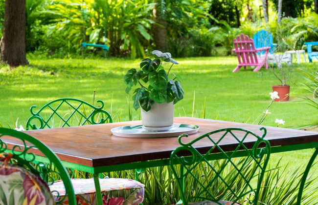 Visita a una hacienda rural dominicana - Foto 13