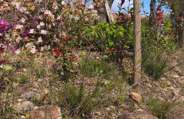 Boavista Country Houses no 87 - Foto 138