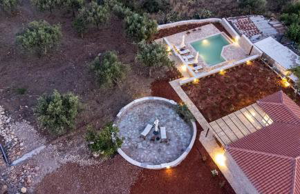 Aloni Ekies - Foto 24