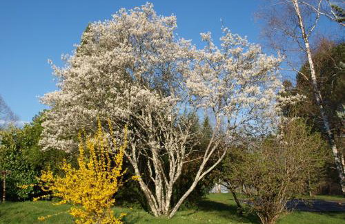 Domaine de la Cipière - Foto 25