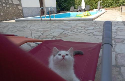 Traditional mediterranean villa - Foto 45