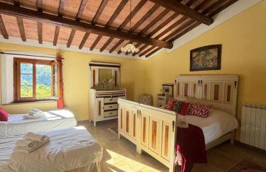 Casa nel bosco il Grottone - Foto 4