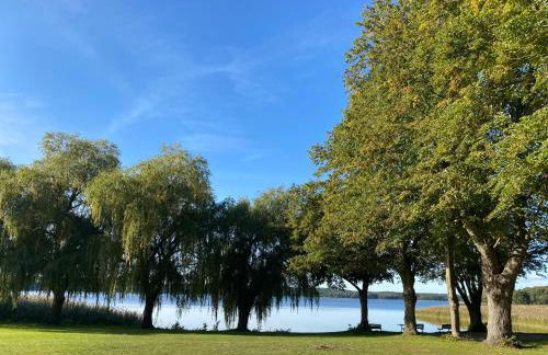 Ferienhaus am Schilfweg mit Kanu - Foto 15
