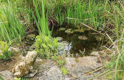 Lower Great Torr - Foto 40