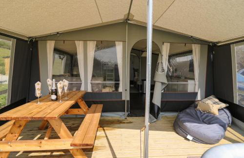 The Kingfisher - Foto 20