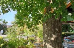 Ferienwohnung Ulinde - Foto 19