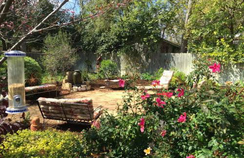 Comal Inn - Photo 20