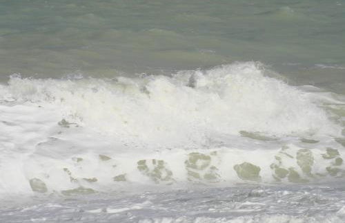 La Plage en Normandie - Foto 23