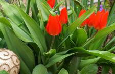 GADD Ferienwohnung # 002 Glück an der Donau # Best Elegant Suite 24#7 Check in - Foto 61