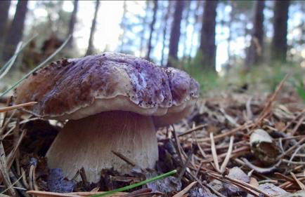 Casa Rural Lahuerta - Foto 34