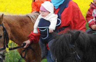 Bauernhof Koehlbrandt - Foto 55