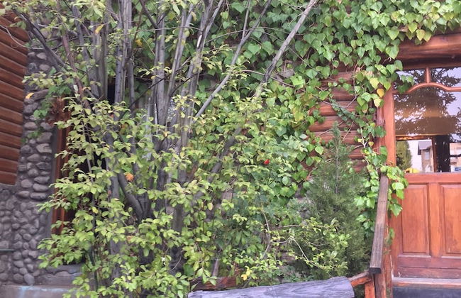 Solares Del Sur Patagonia - Foto 66