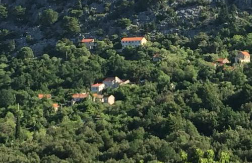 Villa Jatica - Photo 76