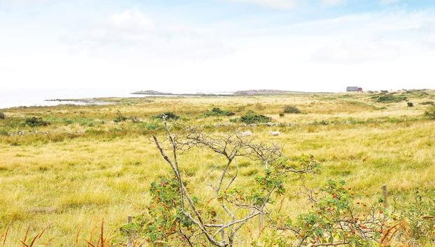 6 Person Holiday Home in Falkenberg-by Traum - Photo 3, Chambre