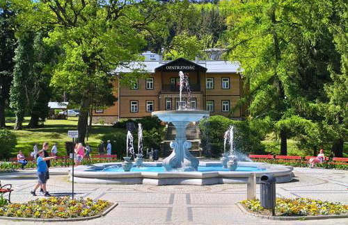 Lokal 40 - apartament w samym centrum - Dzieci do 12 lat gratis! - Foto 20