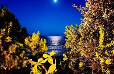 Villa GREG stupenda casa sulla spiaggia con accesso diretto al mare - Foto 16