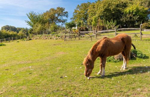 Gîte Le Bouton D'or 8min Puy du Fou - Foto 23