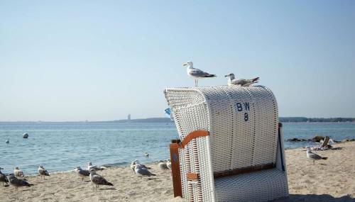 PANORAMIC FeWo SEESCHWALBE - Pool - Familien - strandnah - Hunde - Photo 3
