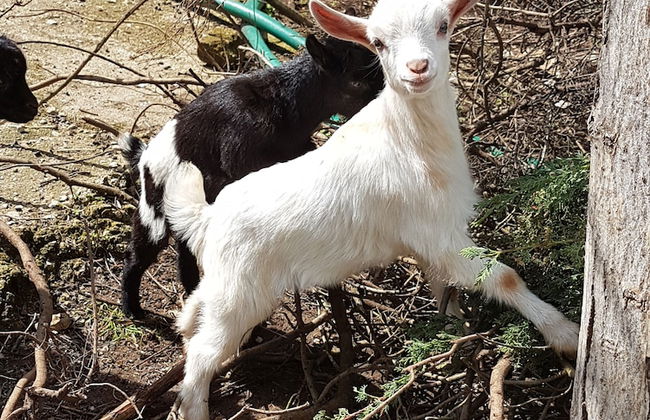 Le Radici Casa Vacanze - Foto 50