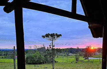 Casa na Árvore - Foto 32