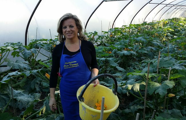 Case Damma - Foto 68