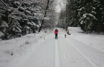 Urlaubsdomizil Am Töpfer - Ferienwohnungen in Olbersdorf - Foto 66
