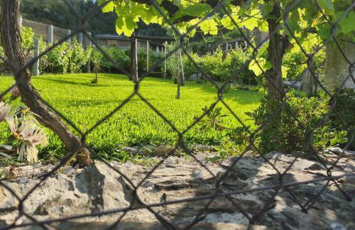 Casa do Tio Quim - Foto 36