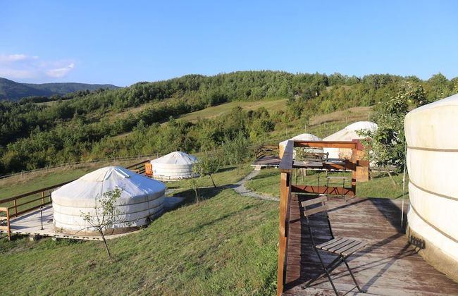 Società Agricola Cacigolara - Foto 15